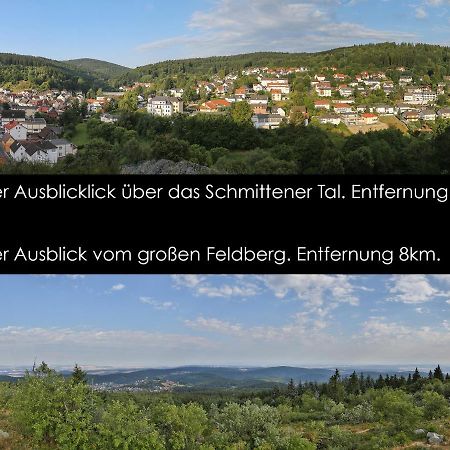 Taunusblick-Meissner Schmitten Екстериор снимка