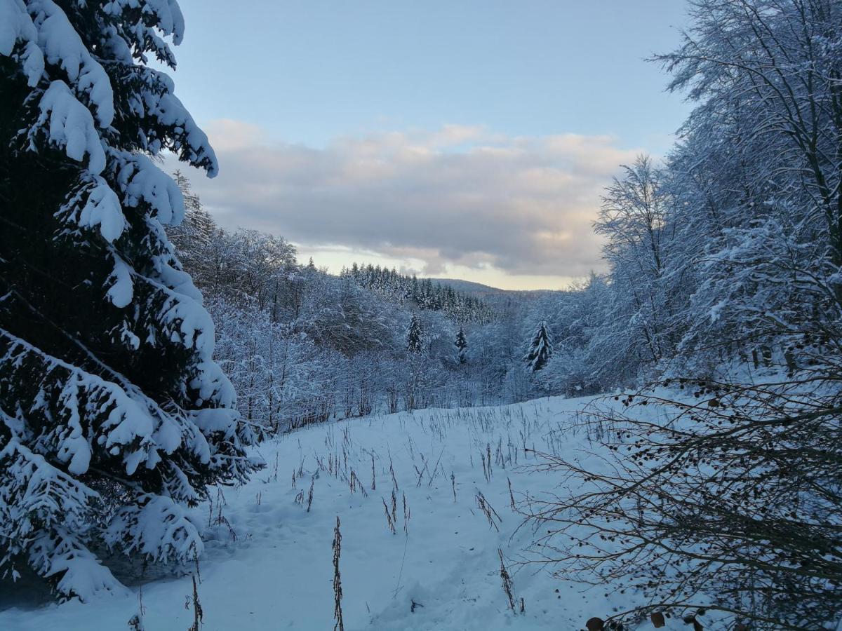 Taunusblick-Meissner Schmitten Екстериор снимка